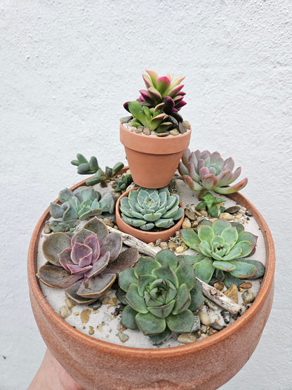 Round Bowl Open Terrarium