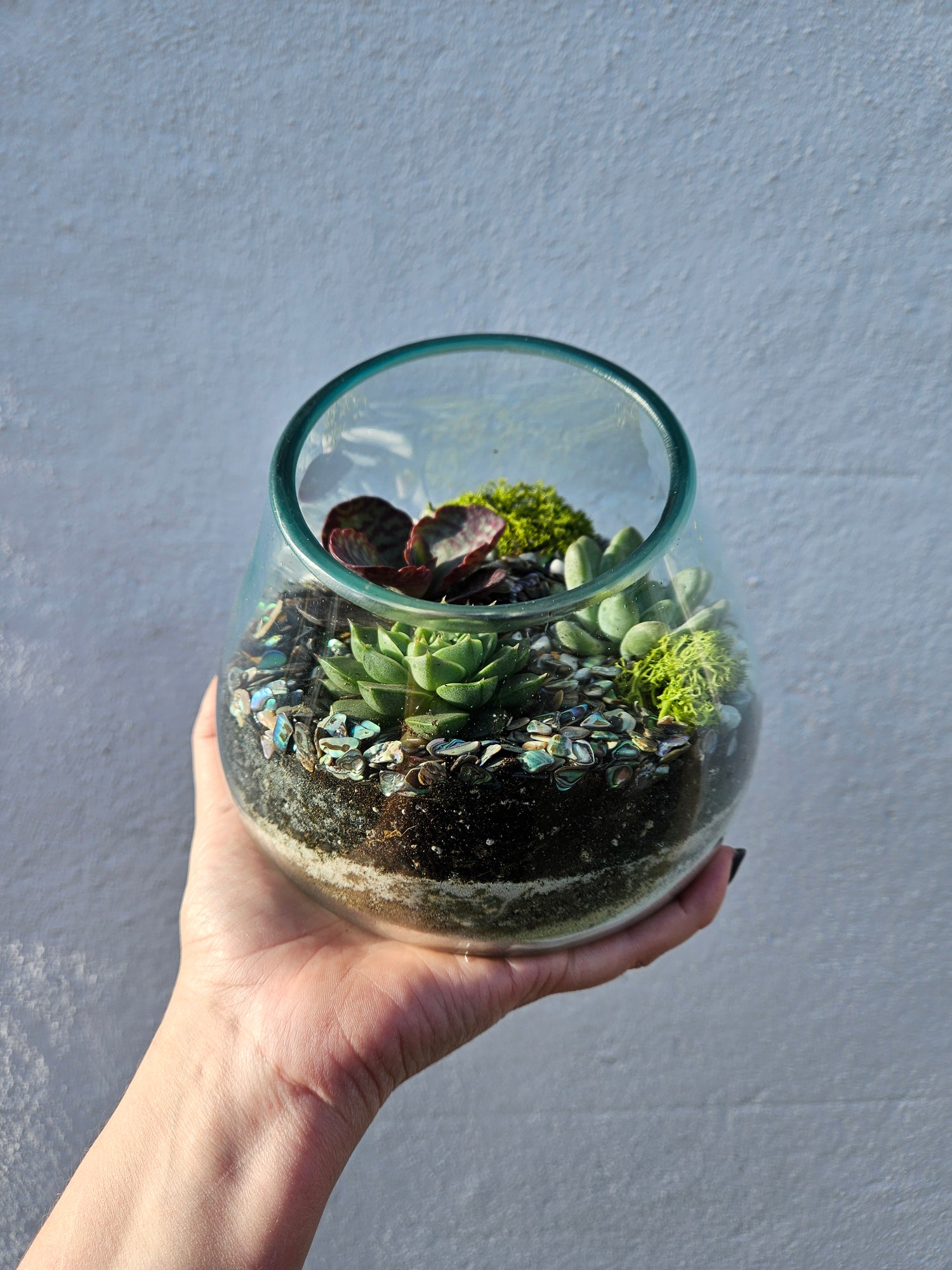 Glass Open Terrarium