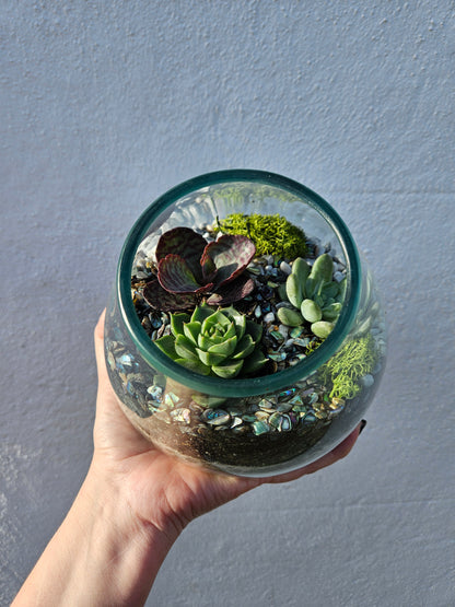 Glass Open Terrarium