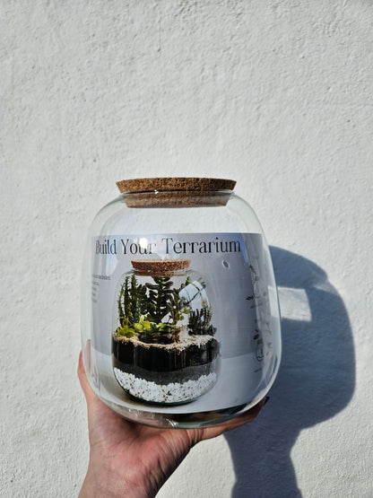 Small DIY terrarium in beautiful vessel