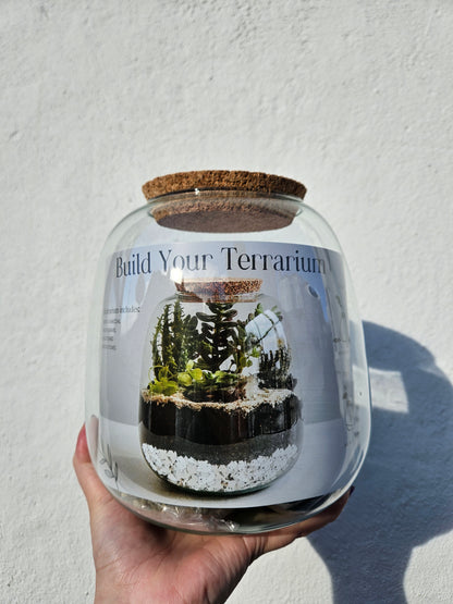 Small DIY terrarium in beautiful vessel