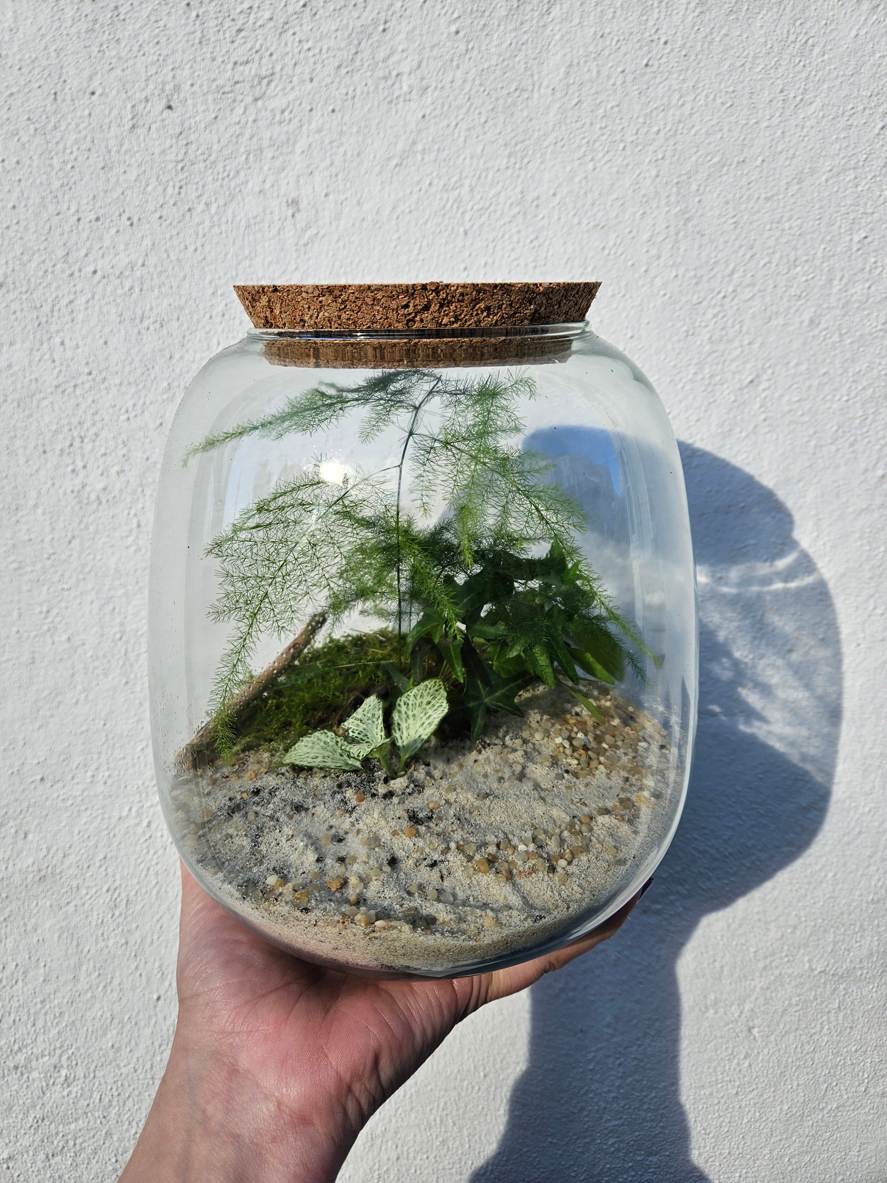 Small DIY terrarium in beautiful vessel