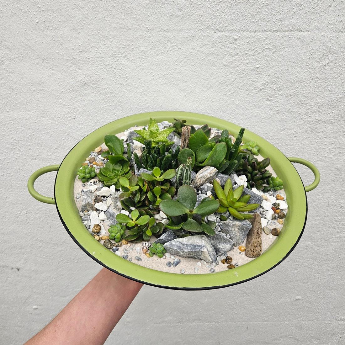 Open terrarium planted metal bowl with handles