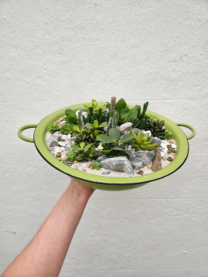 Open terrarium planted metal bowl with handles