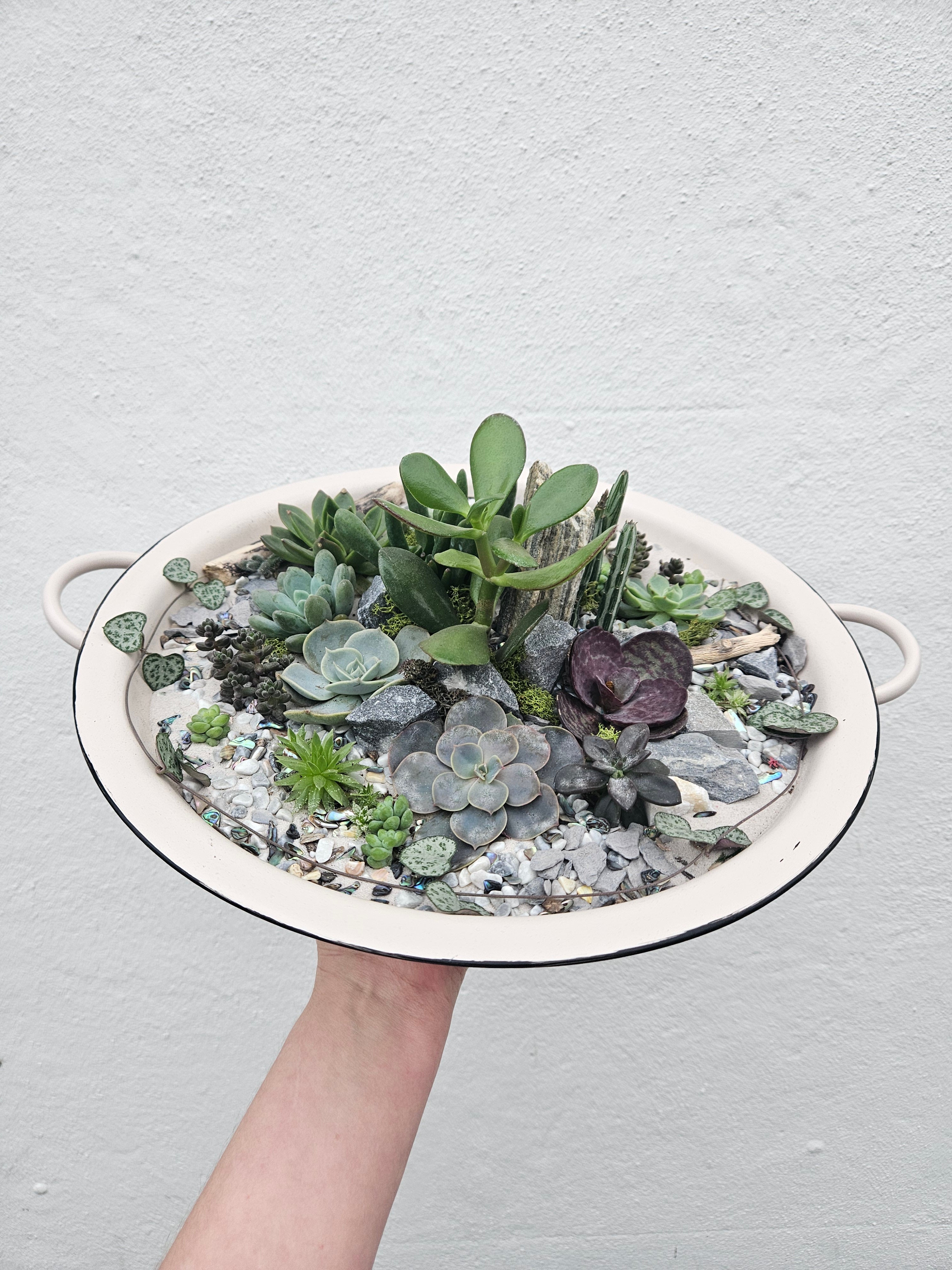 Open terrarium planted metal bowl with handles