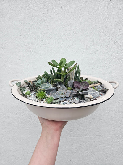 Open terrarium planted metal bowl with handles