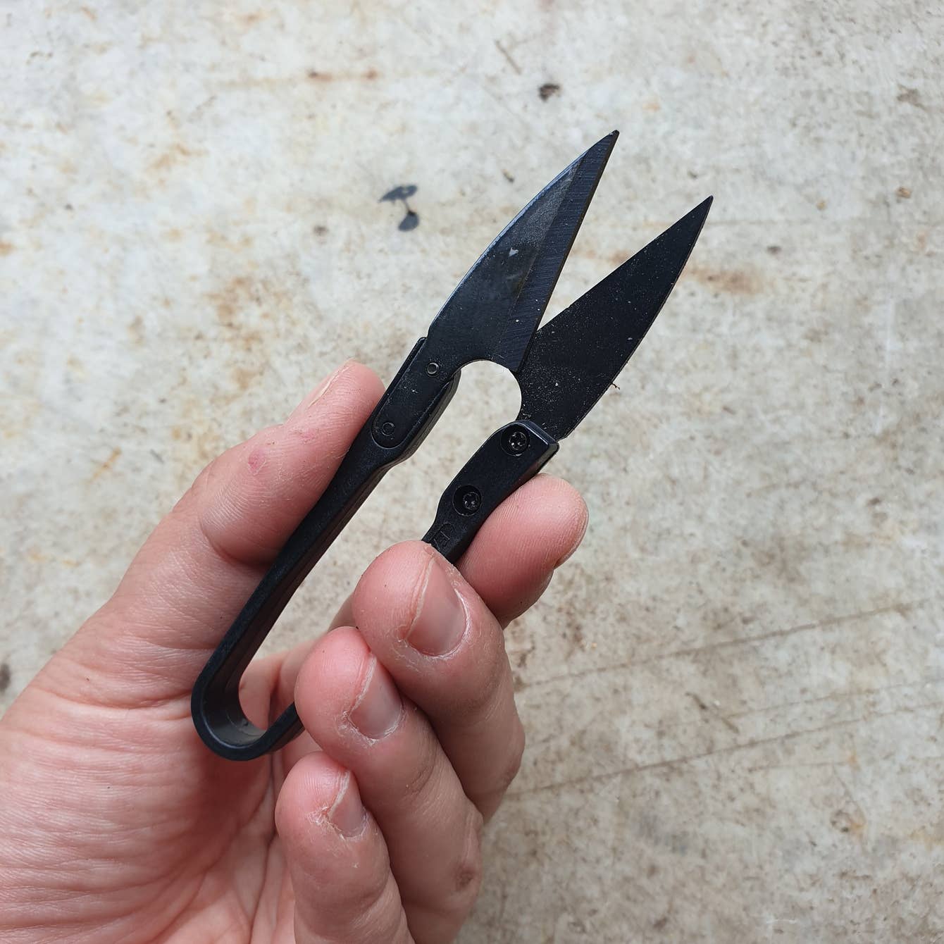 Black Foliage Pruning Snips