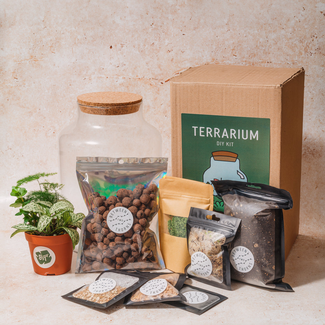 DIY Closed Terrarium Kit