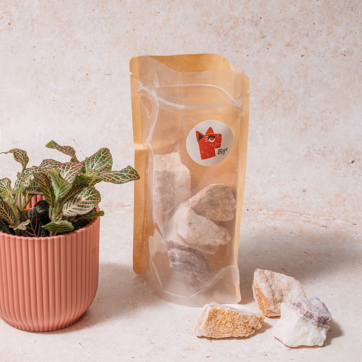 Sculptural Decorative Stones for Terrariums