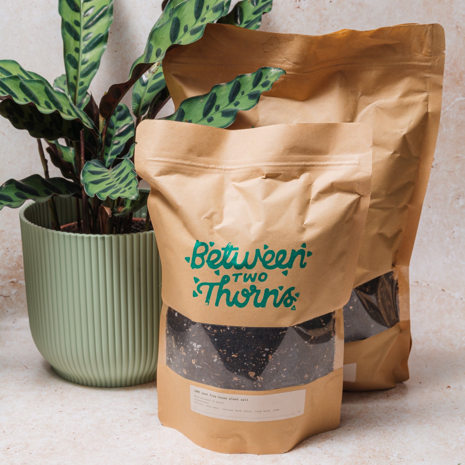 Peat-free Houseplant soil with substrates 500g &amp; 1kg bags