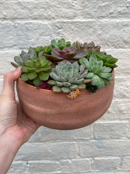 Round Bowl Open Terrarium