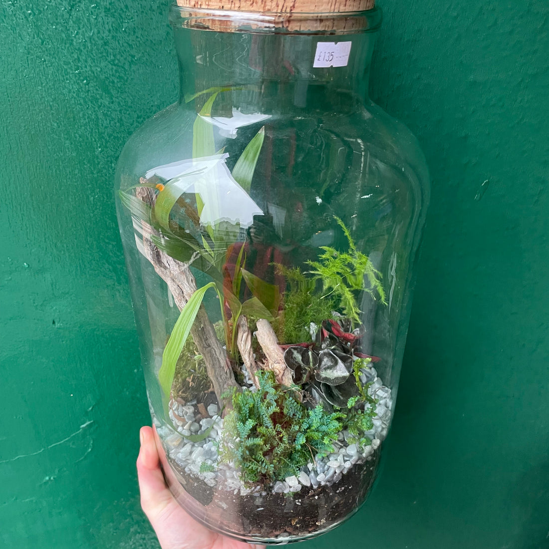 Tall Vintage Glass Closed Terrarium with aged cork lid