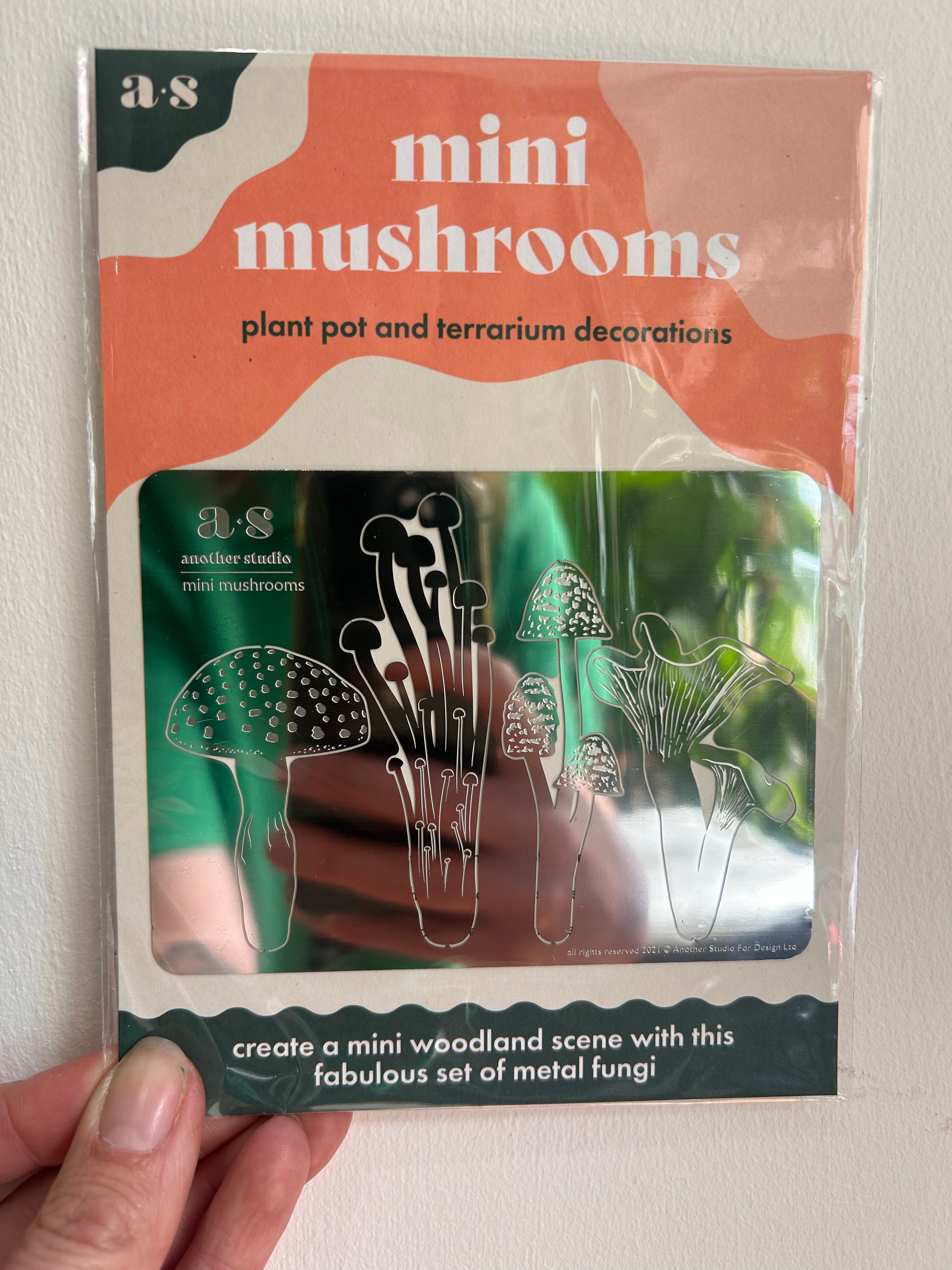 Another Studio Mini Mushrooms- Plant pot and Terrarium Decorations