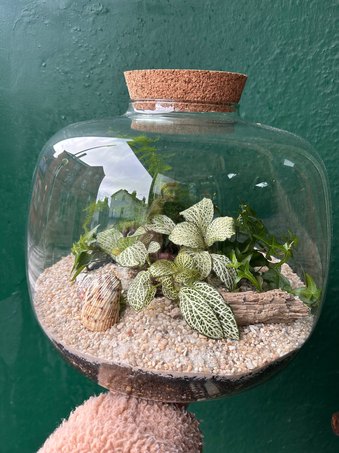 Extra large terrarium in beautiful vessel