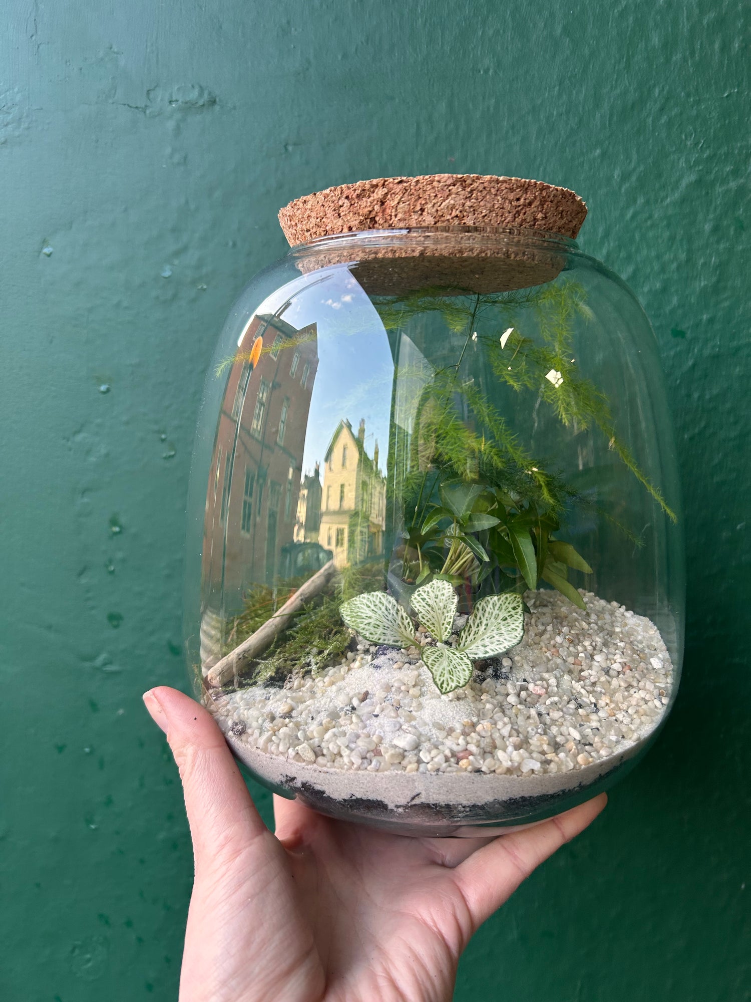 Small DIY terrarium in beautiful vessel