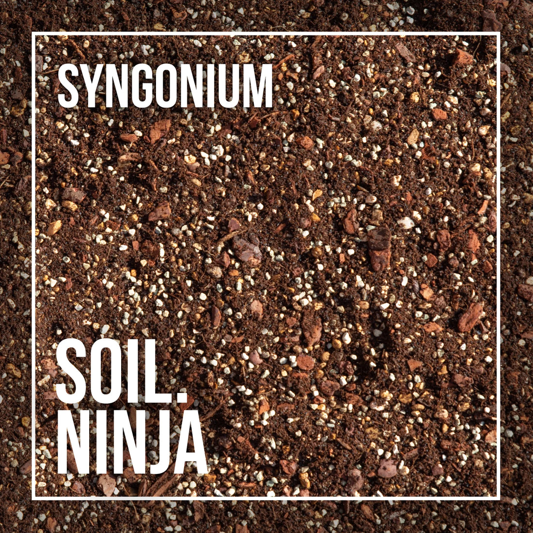 Syngonium Premium Soil Blend 2.5l -Soil Ninja