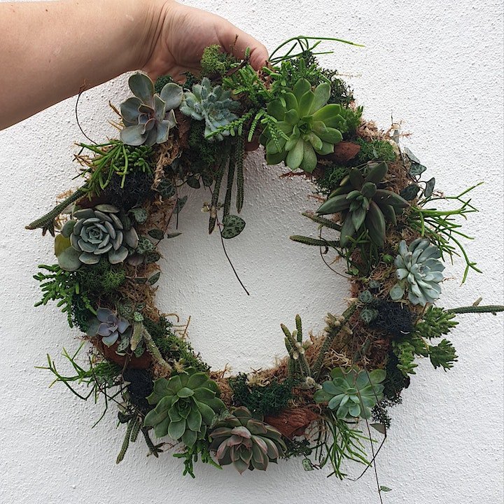 02/11/2024 at 11am Living succulent wreath workshop