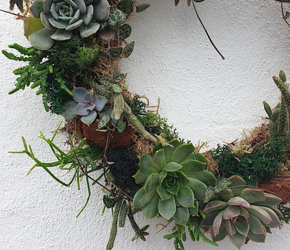 02/11/2024 at 11am Living succulent wreath workshop