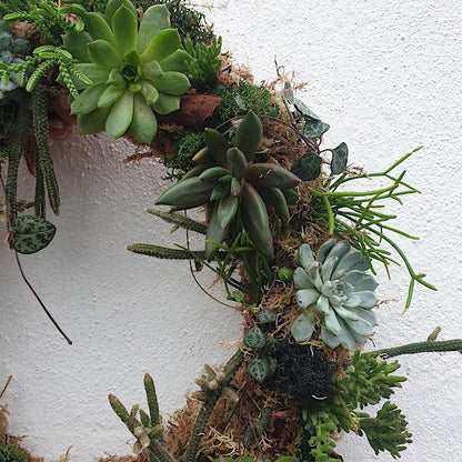 02/11/2024 at 11am Living succulent wreath workshop