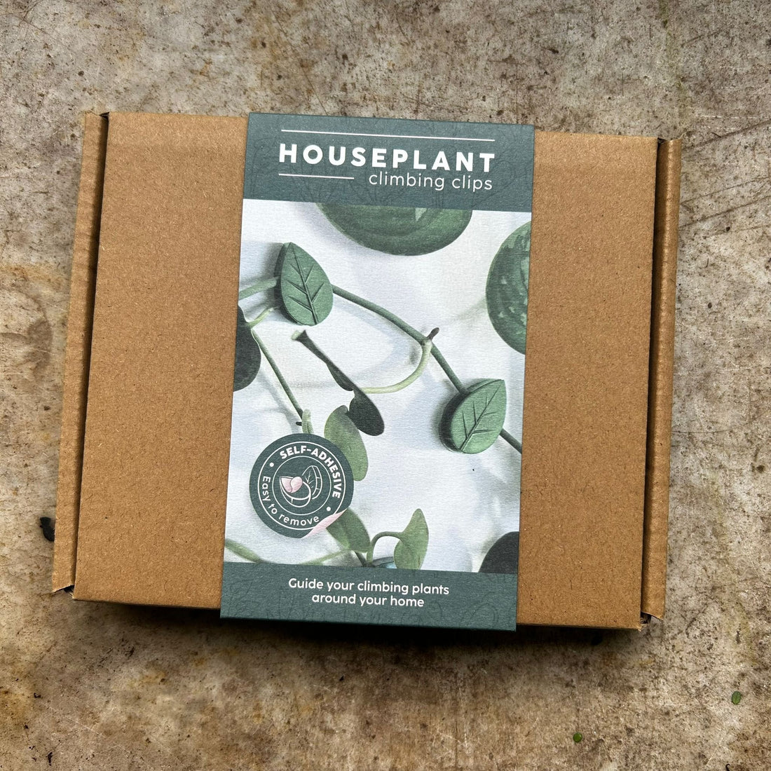 House Plant Climbing Clips