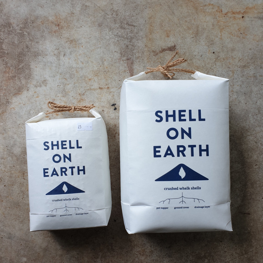 Shell On Earth- crushed whelk shells