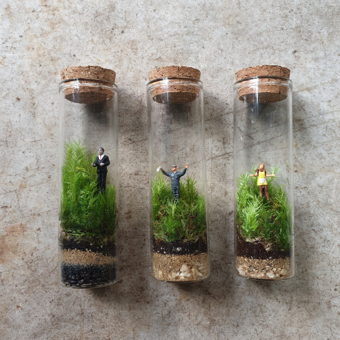 Test tube moss terrarium- 2 types available