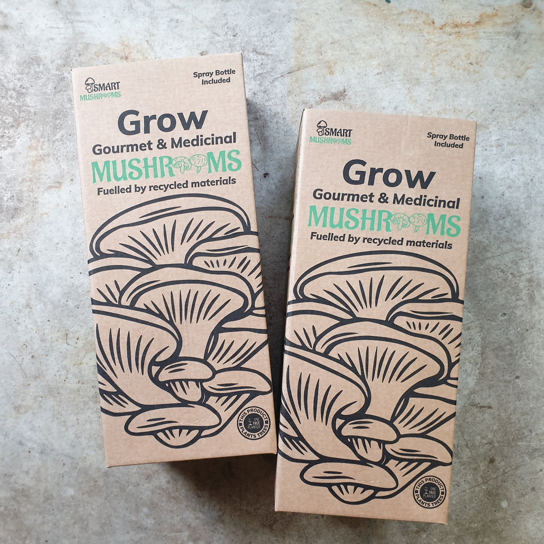 Mushroom Grow Kit - 3 varieties available