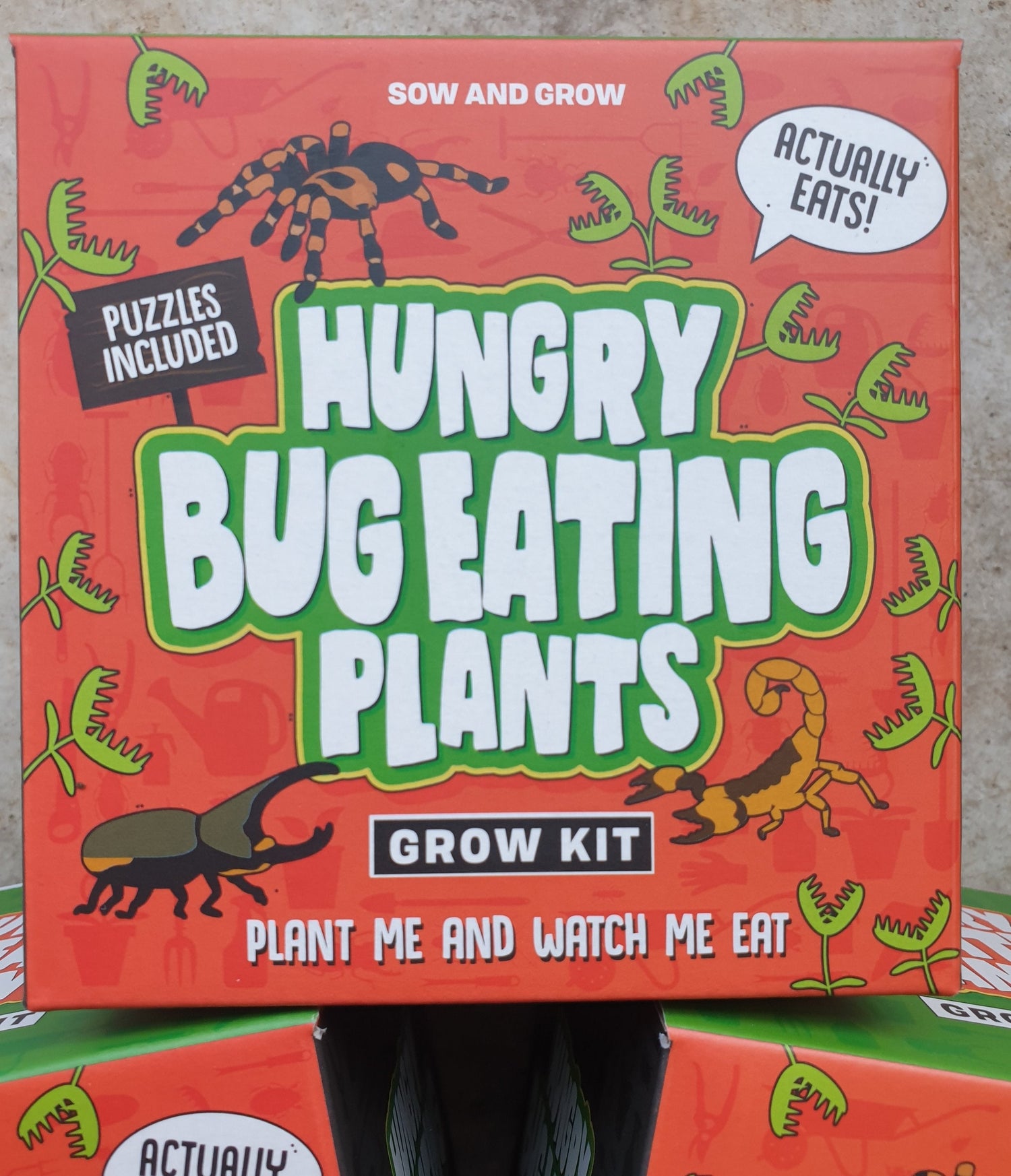 Hungry Bug Eating Plants Box (Carnivorous plant Grow Kit)