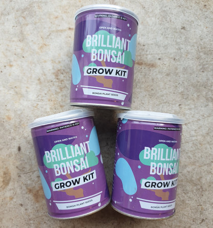 Brilliant Bonsai Grow Kit (Bonsai seed Gift Tin)