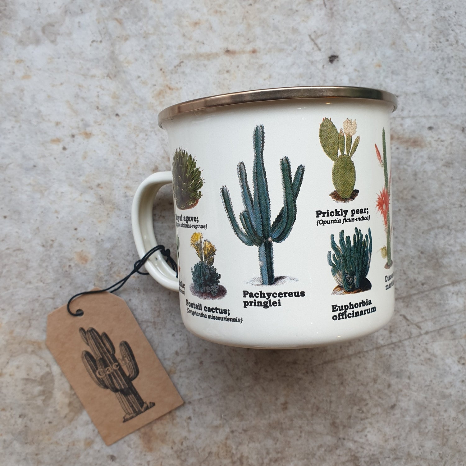 Enamel mugs with botanical illustrations (4 designs available)