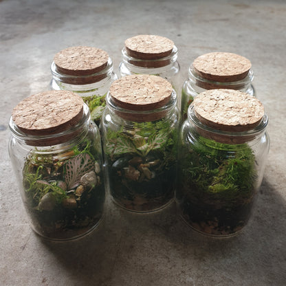 Teeny tiny closed terrarium with cork