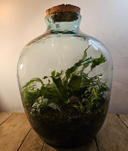 Extra large super tall closed terrarium