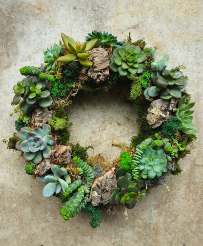 Succulent Living Wreath