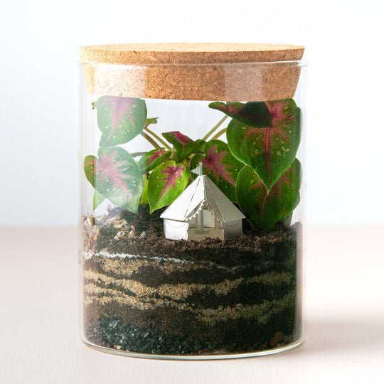 Another Studio Mini Model Tent- Terrarium accessory