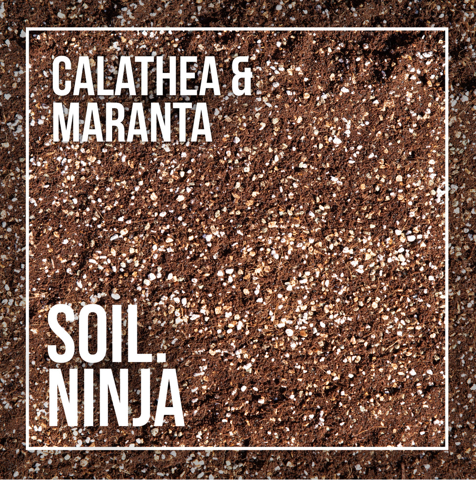 Calathea and Maranta Premium Houseplant Blend - Soil Ninja 2.5L, 5L