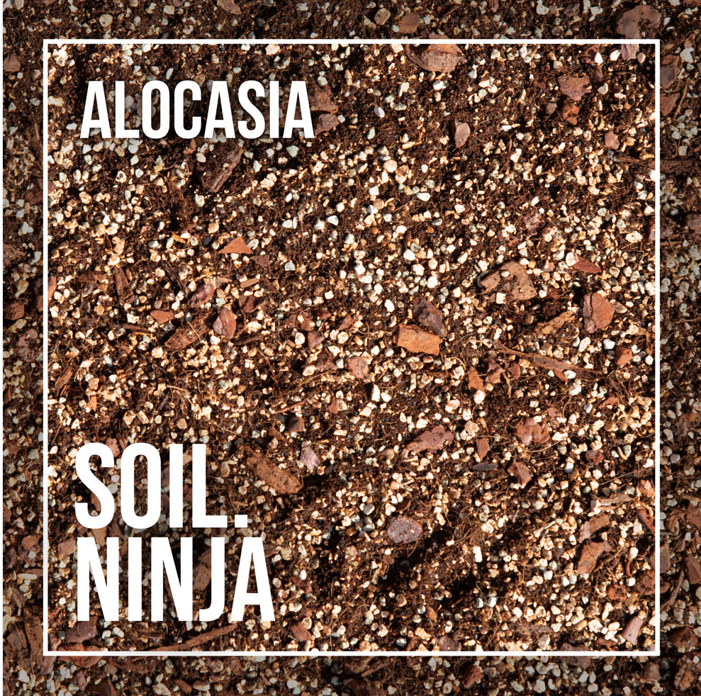 Alocasia Premium Houseplant Blend - Soil Ninja 2.5L, 5L