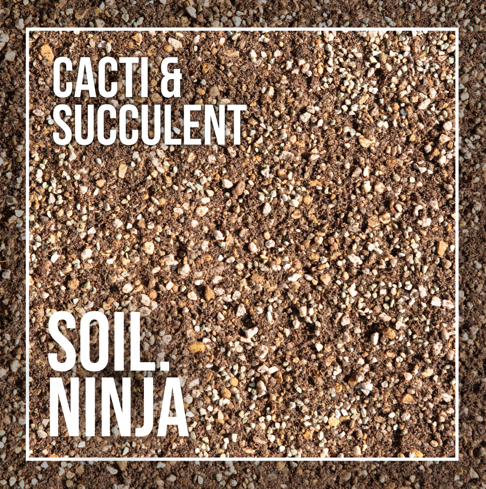 Cacti and Succulent Premium Houseplant Blend - Soil Ninja 2.5L, 5L, 10L