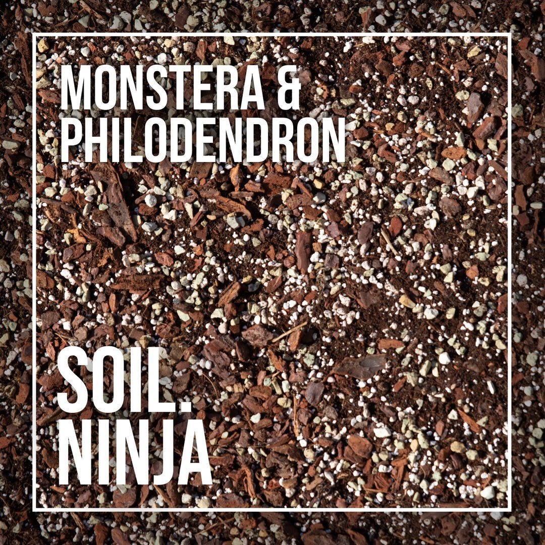 Monstera and Philodendron Premium Houseplant Blend - Soil Ninja 2.5L, 5L, 10L