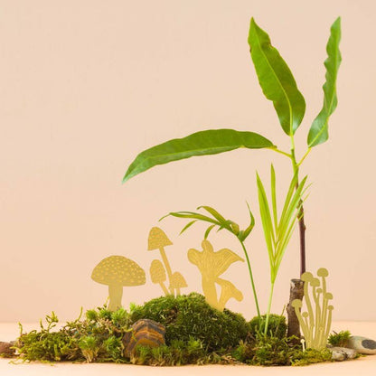 Another Studio Mini Mushrooms- Plant pot and Terrarium Decorations